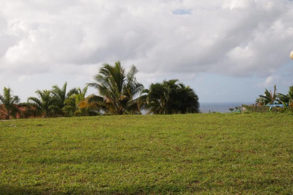 MAHINA Terrain à vendre VT6219TI