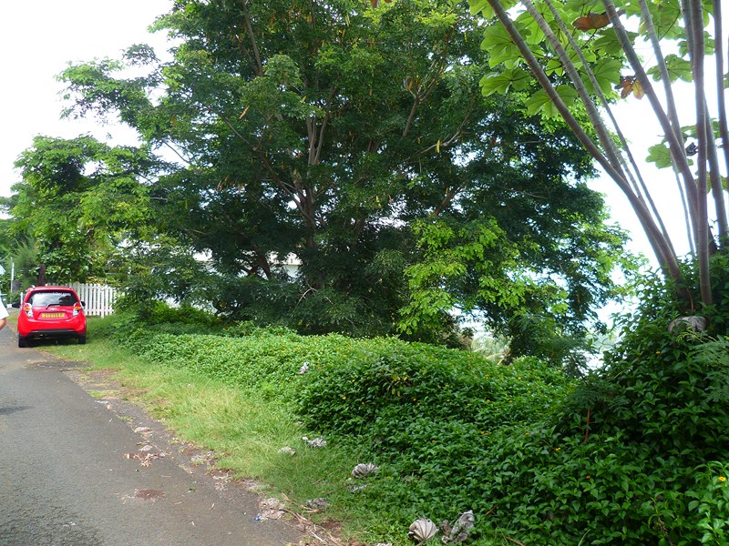 VT5864M ERIMA