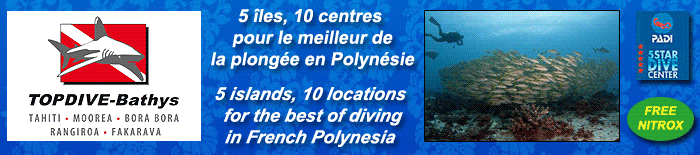 http://www.topdive