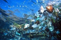 Une mission guyanaise part explorer le "continent de plastique" du Pacifique Une mission guyanaise part explorer le "continent de plastique" du Pacifique