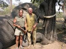 Scandale autour du roi d'Espagne, accusé de chasser l'éléphant malgré la crise Scandale autour du roi d'Espagne, accusé de chasser l'éléphant malgré la crise