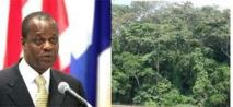 Les grands bassins forestiers tropicaux devraient signer un accord à Rio Les grands bassins forestiers tropicaux devraient signer un accord à Rio