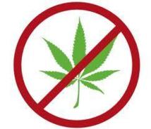 L'Académie de médecine vent debout contre une dépénalisation du cannabis L'Académie de médecine vent debout contre une dépénalisation du cannabis