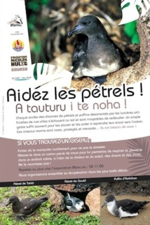 Des nouvelles des pétrels de Tahiti Des nouvelles des pétrels de Tahiti