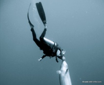 Olivier Archambaud, dans son élément (crédit photo : Olivier Archambaud) Olivier Archambaud, dans son élément (crédit photo : Olivier Archambaud)