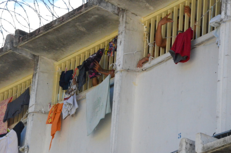 Nouveau record de surpopulation à Nuutania Nouveau record de surpopulation à Nuutania