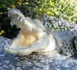 Indonésie: un crocodile lézarde sur une plage, faisant fuir les baigneurs