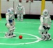 Les champions robots-footballeurs se préparent pour la prochaine coupe du monde