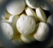 Plus d'un million de sachets d'aspirine de contrefaçon saisis au Havre, un record en France et l'UE