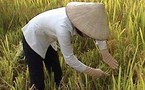 La Chine pèse de plus en plus lourd sur les marchés agricoles