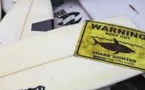 La Réunion/pêche au requin: recours de 3 associations contre l'arrêté d'un maire