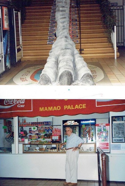 Mamao Palace 7