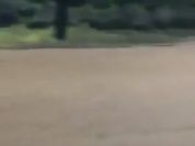 video-1487358699.mp4