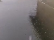 video-1567567280 (1).mp4