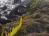 Une voiture retrouvée à l’eau sans conducteur et accidentée à Papenoo