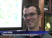 V001_MMV396633_TFR_WMV_480X360.wmv