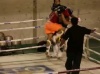 Boxe thaï : combat spectaculaire entre Tahutini Tiatoa et Teiki Nauta, 
