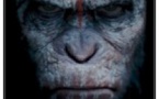 LA PLANETE DES SINGES L'AFFRONTEMENT  EN 2D au Hollywood 2 en Soirée