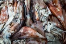 Chasse, pêche, agriculture: des ennemies de la biodiversité pires que le réchauffement (étude) Chasse, pêche, agriculture: des ennemies de la biodiversité pires que le réchauffement (étude)