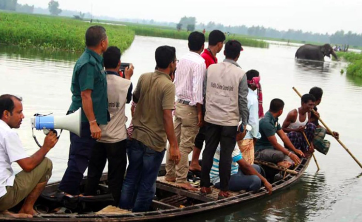Bangladesh : un éléphant en détresse secouru après avoir parcouru 1.000 km Bangladesh : un éléphant en détresse secouru après avoir parcouru 1.000 km