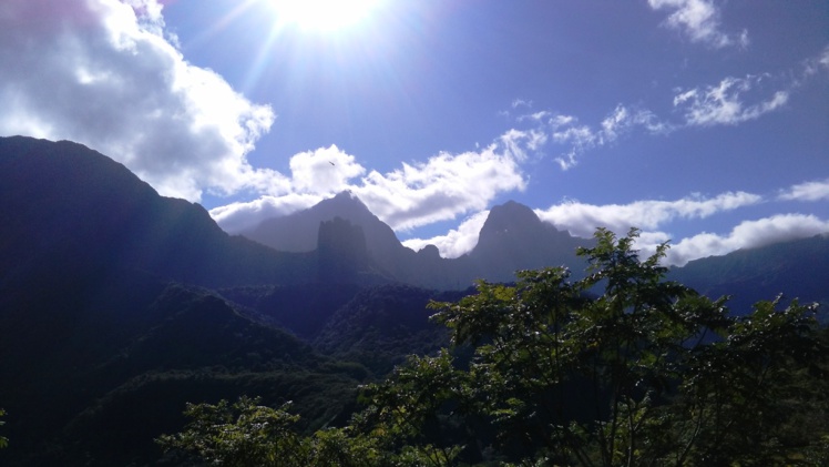 Randonnée du plateau des orangers : un vrai délice Randonnée du plateau des orangers : un vrai délice