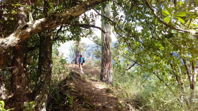 La randonnée est parfois ombragée.