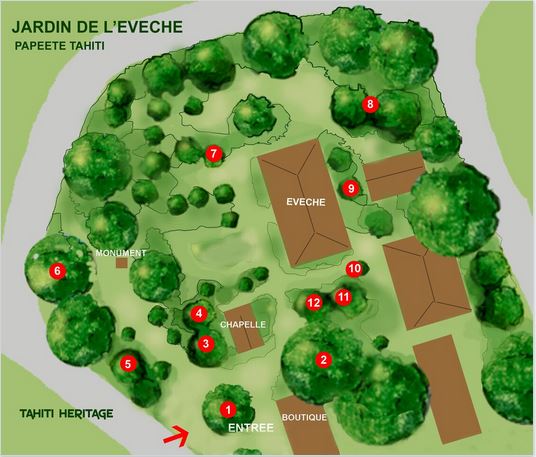 Plan des jardins de l’évêché de Papeete
