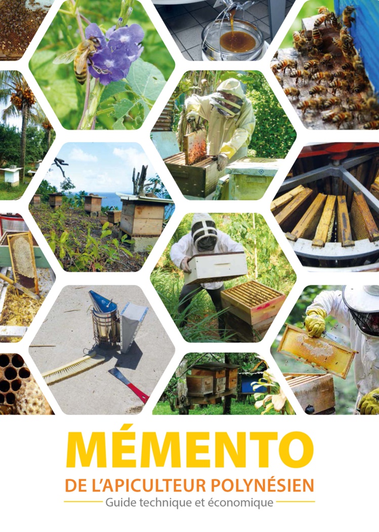 Un guide pour bien gérer ses ruches Un guide pour bien gérer ses ruches