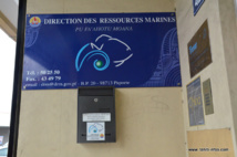 Bisbille autour de la nomination de la directrice des ressources marines et minières Bisbille autour de la nomination de la directrice des ressources marines et minières