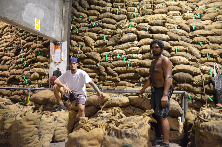 W. Vanizette confirmé à la tête de la Caisse de soutien au coprah W. Vanizette confirmé à la tête de la Caisse de soutien au coprah