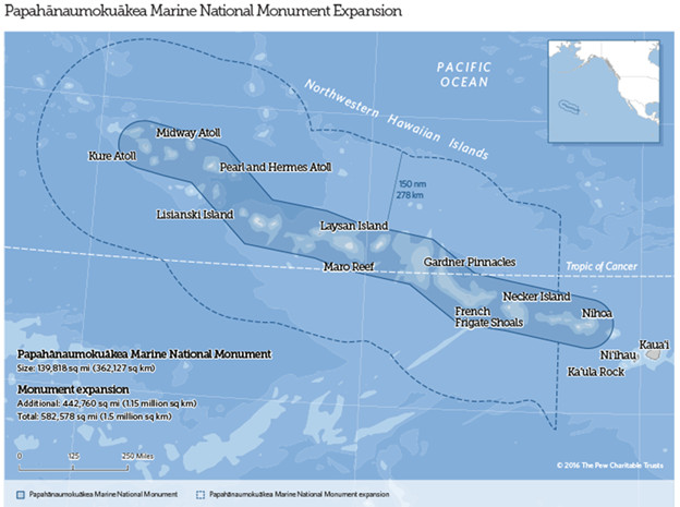 Les Etats Unis créent la plus grande réserve marine du monde à Hawaii