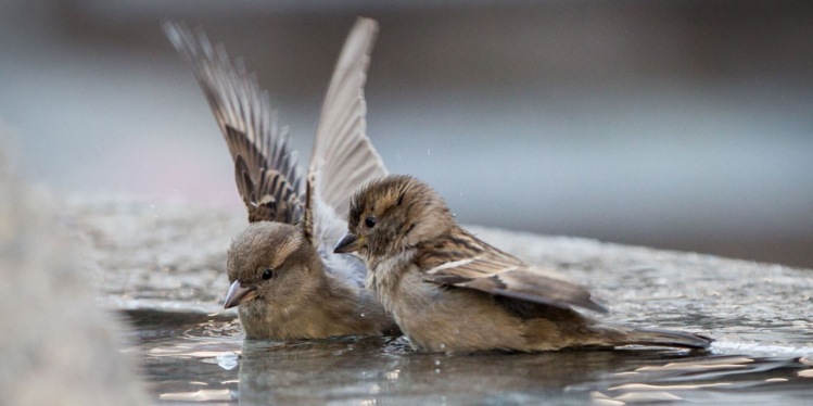 @ Frank Rumpenhorst / dpa / AFP @ Frank Rumpenhorst / dpa / AFP
