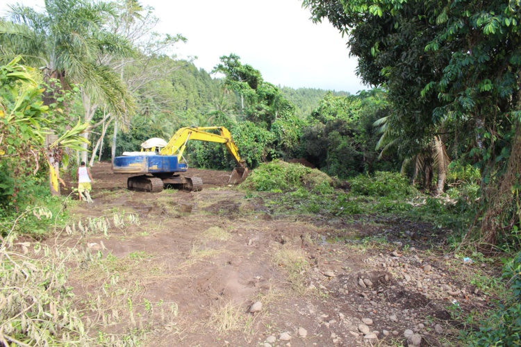Depuis quelques semaines, les équipes municipales défrichent le site. Depuis quelques semaines, les équipes municipales défrichent le site.