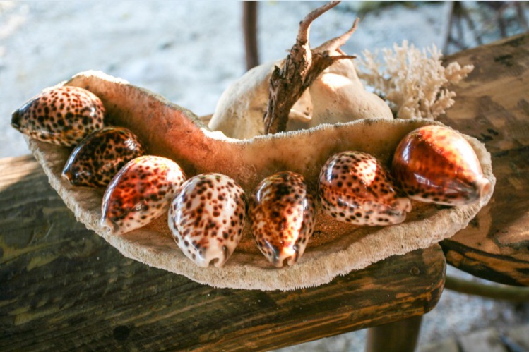 Quelques éléments participant à la décoration du salon et de la salle à manger. Tout est ici local et rappelle le lagon tout proche. Quelques éléments participant à la décoration du salon et de la salle à manger. Tout est ici local et rappelle le lagon tout proche.