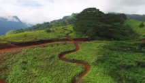 Une descente spectaculaire en VTT filmée par un drone à Punaauia
