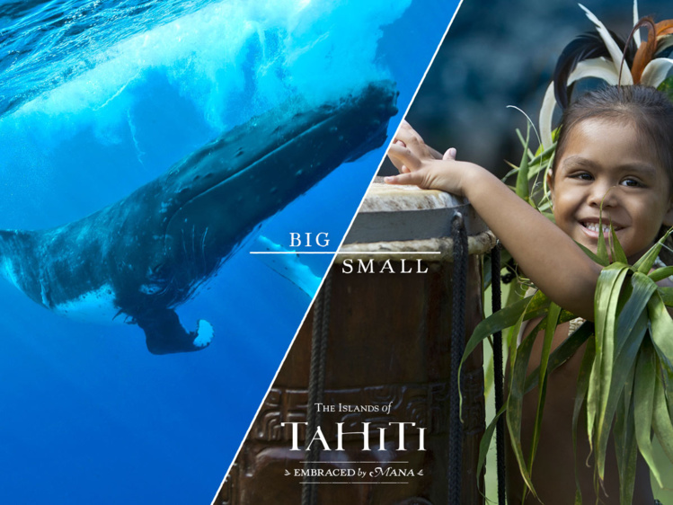 Voici un des visuels de la dernière campagne de promotion de Tahiti Tourisme