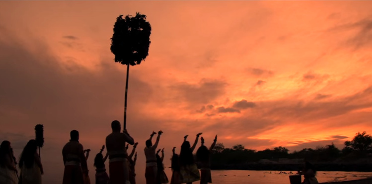 Festival Polynesia : Halau Na kipu’upu’u, groupe de danse hawaiien (vidéo)