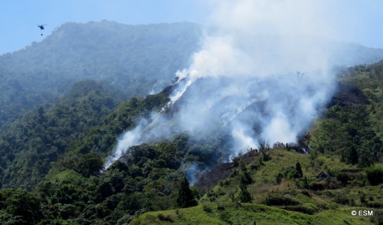 Te Maru Ata : l'incendie a dévasté trois hectares, les pompiers toujours mobilisés dimanche (Màj) Te Maru Ata : l'incendie a dévasté trois hectares, les pompiers toujours mobilisés dimanche (Màj)