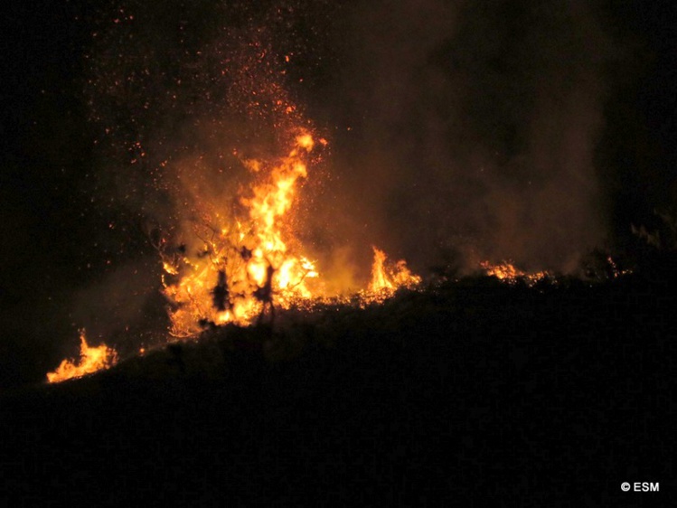 Te Maru Ata : l'incendie a dévasté trois hectares, les pompiers toujours mobilisés dimanche (Màj)