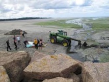 Algues vertes: des associations s'interrogent après la mort d'un joggeur dans la vase en Bretagne Algues vertes: des associations s'interrogent après la mort d'un joggeur dans la vase en Bretagne
