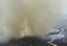 Indonésie: des religieux lancent une fatwa contre les incendies de forêts