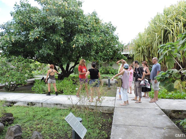 Un guide vous expliquera les vertus des plantes visibles dans le jardin de Atea.