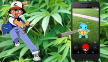 Il joue au Pokemon Go... et tombe sur une plantation de cannabis