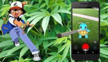 Il joue au Pokemon Go... et tombe sur une plantation de cannabis Il joue au Pokemon Go... et tombe sur une plantation de cannabis