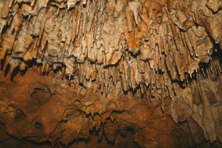 Du plafond, se détachent des centaines de stalactites qui semblent prêts à fondre sur les visiteurs.