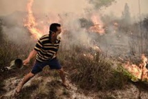 Fumée des feux de forêt en Asie du Sud-Est: 100.000 décès prématurés (étude)