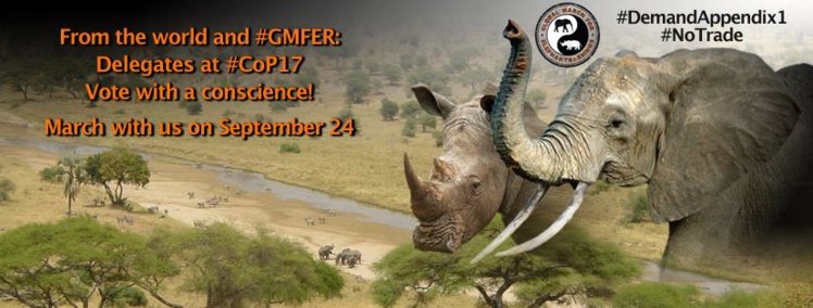 Appel à manifester pour les animaux sauvages samedi partout dans le monde Appel à manifester pour les animaux sauvages samedi partout dans le monde