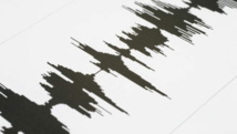 Fort séisme de magnitude 6,8 aux îles Fidji, pas d'alerte au tsunami