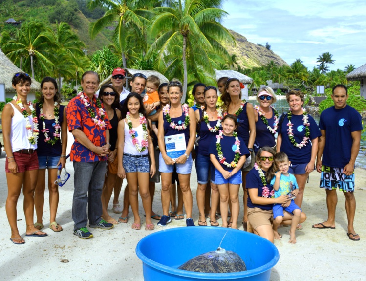 La tortue verte Apetahi retrouve la mer La tortue verte Apetahi retrouve la mer