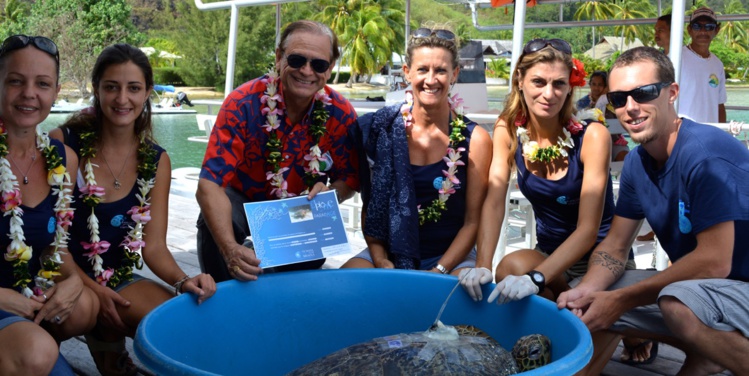 La tortue verte Apetahi retrouve la mer La tortue verte Apetahi retrouve la mer